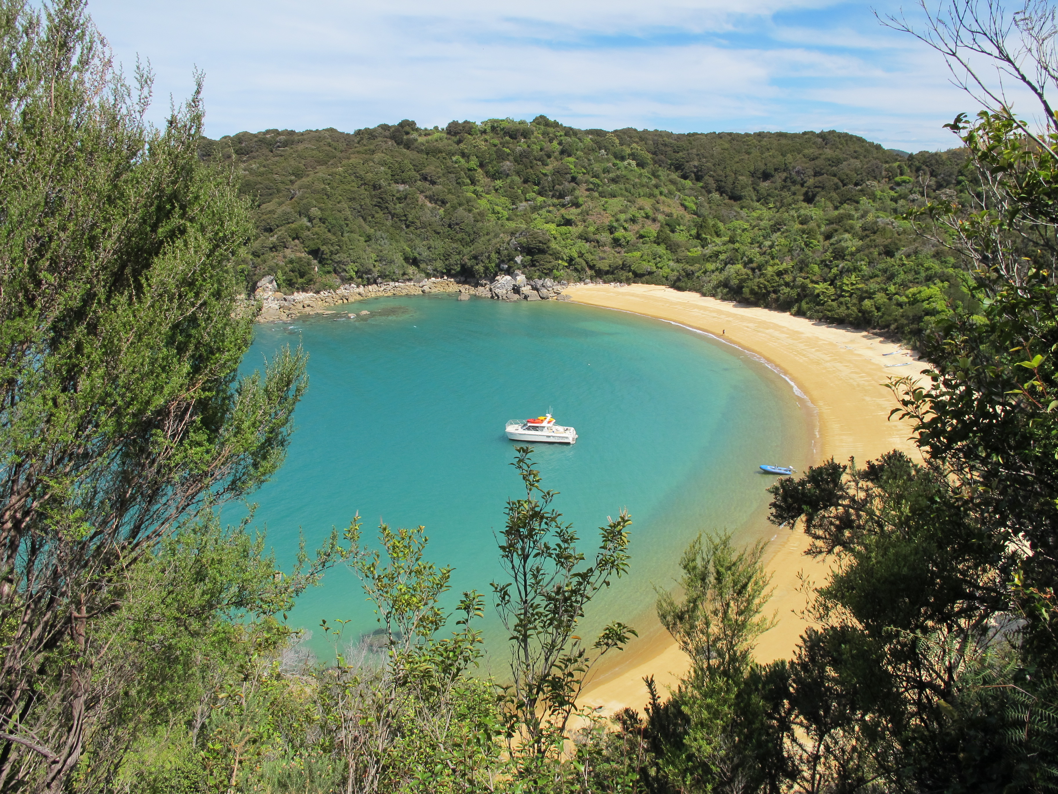 Abel Tasman Rocks - Trufflepig