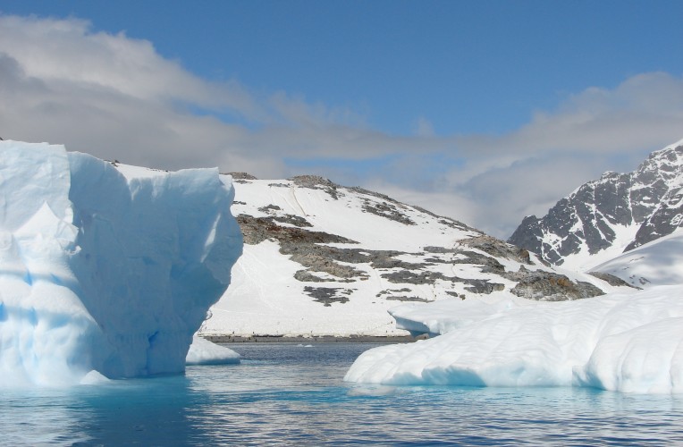 Antarctica: The White Continent - Trufflepig