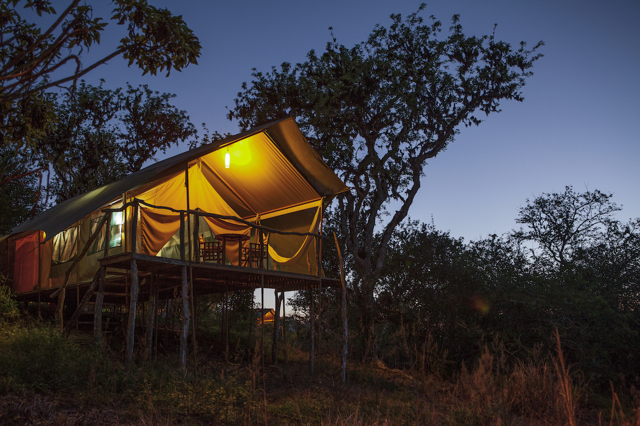 Galapagos Safari Camp Trufflepig