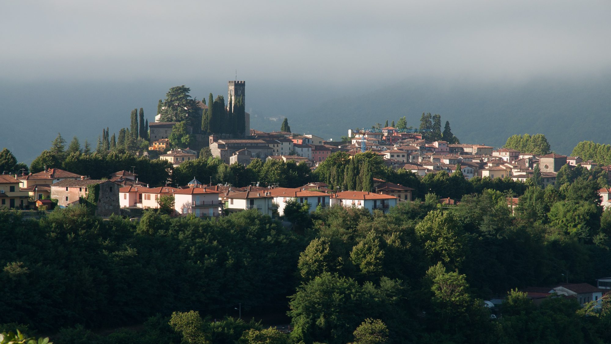 truffle hunting trip italy